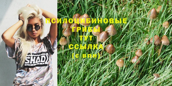прущая мука Нефтегорск