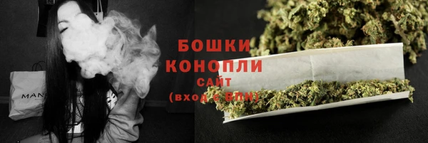 гашик Новокубанск