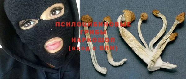 прущая мука Нефтегорск